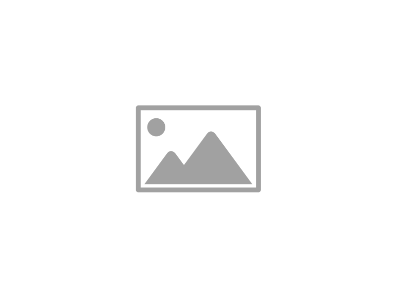 EL BÚHO_33