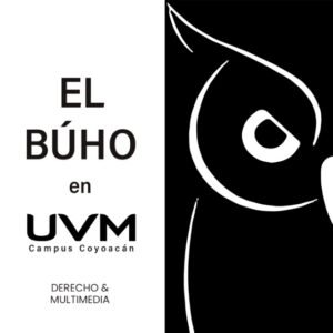 EL BÚHO_31